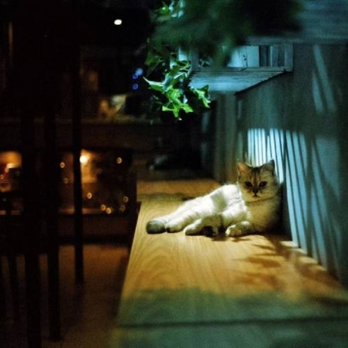 1 Rollo De Película Kodak Gold 200 Color 35 Mm Para M35/m38