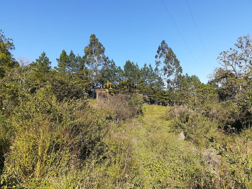 Imagem 18 de 30 de Fazenda A Venda No Bairro Colônia Murici Em São José Dos - 5836-1