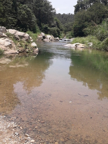 Venta Terreno En Constanza 