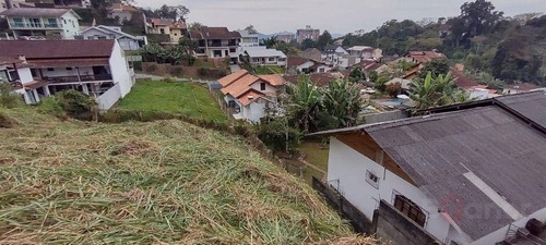 Imagem 6 de 12 de Terreno À Venda, 450 M² Por R$ 150.000,00 - Escola Agrícola - Blumenau/sc - Te0093