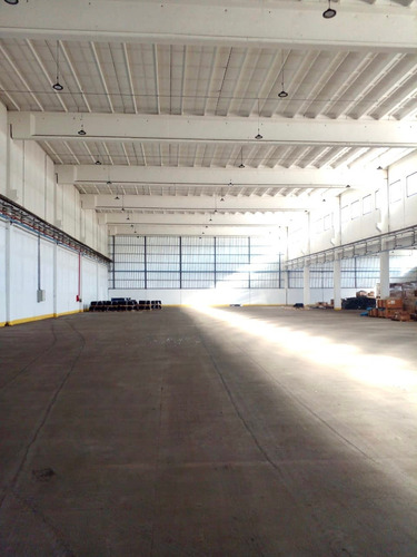 Imagen 1 de 4 de Excelente Galpón 1840m2 En Flandria Luján