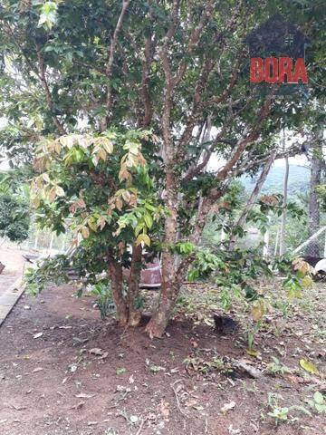 Chácara Com 2 Dormitórios À Venda, 1175 M² Por R$ 190.000,00 - Vila Pedra Vermelha - Mairiporã/sp - Ch0312