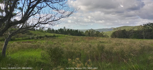 Imagem 8 de 15 de Área Rural Para Venda Em Mariana Pimentel, Linha Do Registro - 1245_1-1842627