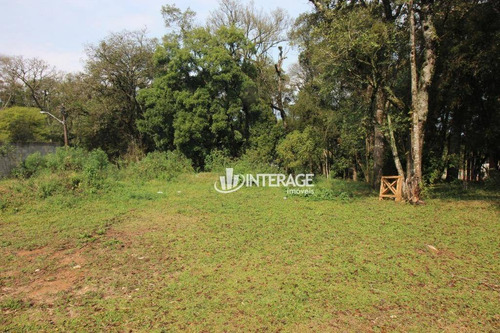 Imagem 2 de 9 de Terreno À Venda, 4505 M² Por R$ 650.000,00 - Butiatuvinha - Curitiba/pr - Te0295