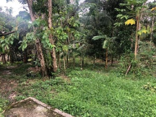 Chácara No Litoral Com 3 Dormitórios Em Itanhaém/sp 5416-pc
