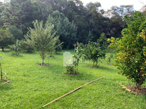 Imagem 16 de 20 de Chácara 12.000m² No Cotia, São José Dos Pinhais - Ch0038