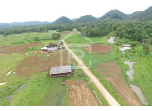 Imagem 14 de 21 de Fazenda - 229 - 70651803