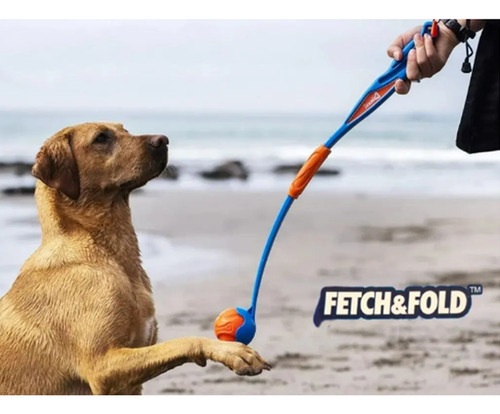 Brinquedo Pet Resistente Kit Verão Chuckit Americana Cães
