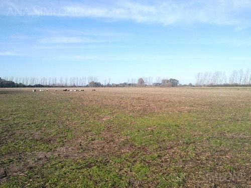 Naves Llave En Mano A Estrenar En Recinto Ind. Cerrado