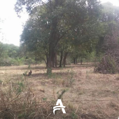 Imagen 2 de 3 de Oportunidad!!! Lote En Las Sierras De Cordoba