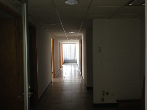 Imagen 6 de 16 de Renta Oficinas 300m Av Zaragoza Qro Cerca De 5 De Febrero