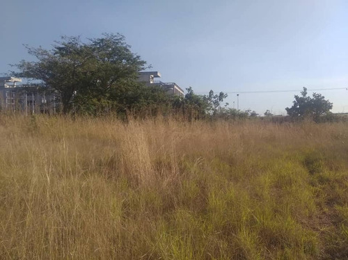 Fany Villasmil Vende Terreno En Cojedes Sector Cascabel