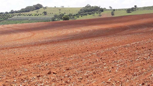 Imagem 9 de 16 de Fazenda 200 Hectares De Café No Municipio De Machado 12.000,000,00 - 39055