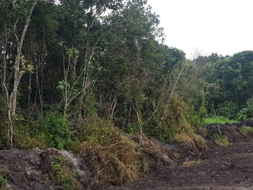 Imagem 9 de 9 de Terreno Na Praia Com 231 M², Em Itanhaém/sp Ter042-pc