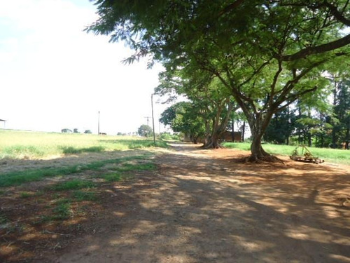 Área À Venda, 118871 M² Por R$ 6.000.000,00 - Vila Areião - Piracicaba/sp - Ar0009