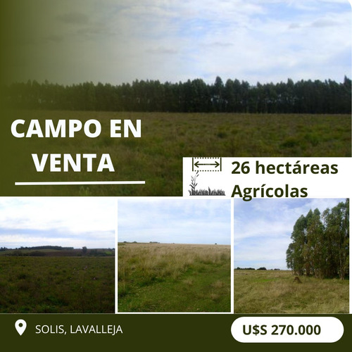 Campo Agrícola Ganadero De 26 Hectáreas - Solís - Lavalleja