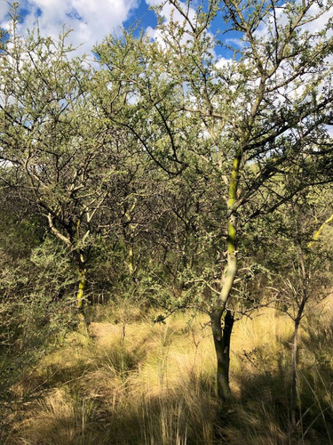 Imagen 11 de 14 de Lote 1840 M2 - Posesion / Quebrada De Los Pozos, Villa De Las Rosas - Traslasierra