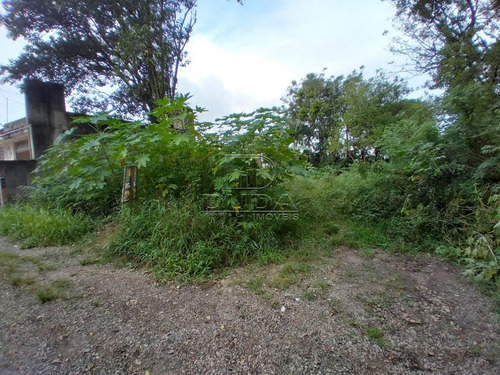 Imagem 3 de 3 de Terreno - Operaria Nova - Ref: 33515 - V-33512