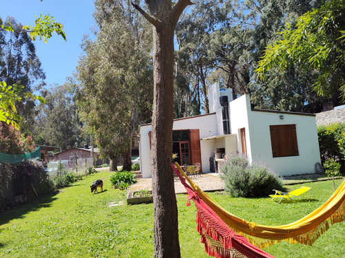 Alquiler Casa Bosque Peralta Ramos, Mar Del Plata
