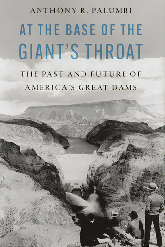 At The Base Of The Giant's Throat: The Past And Future Of America's Great Dams, De Palumbi, Anthony R.. Editorial Potomac Books Inc, Tapa Dura En Inglés