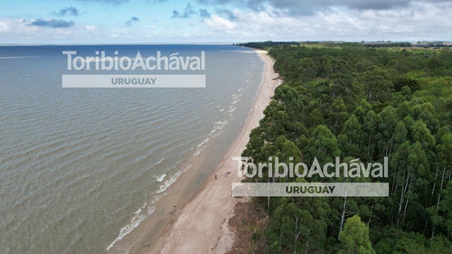 Destacada Casa Sobre La Costa En Balneario El Ensueño
