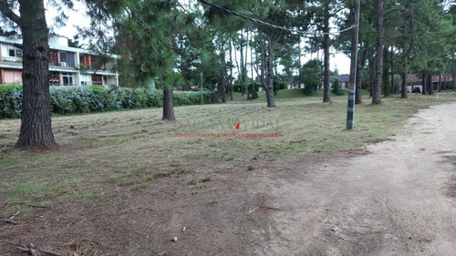 Imagen 3 de 4 de Terreno En Venta Barrio Cantegril, Punta Del Este - Punta Del Este Country