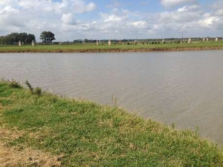 Imagen 3 de 14 de Lote En Venta En San Vicente