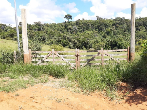 Imagem 13 de 15 de Sítio Enseada Com Reserva Legal E App Linda, Local Exclusivo
