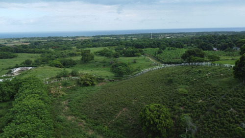 Terreno En San Cristobal Próximo A Playa Najayo