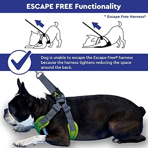 Gooby Escape Free Memory Foam Arnés - Púrpura, Mediano - Arn