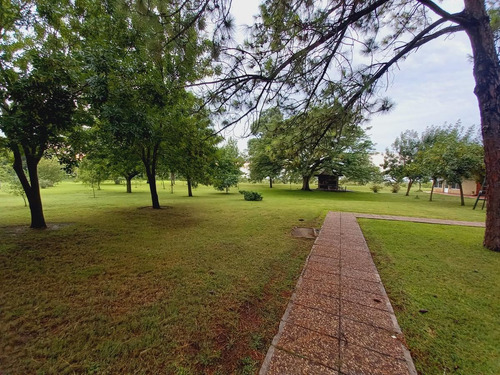 Imagen 5 de 21 de Se Vende Exclusivo Complejo Turístico En San Javier