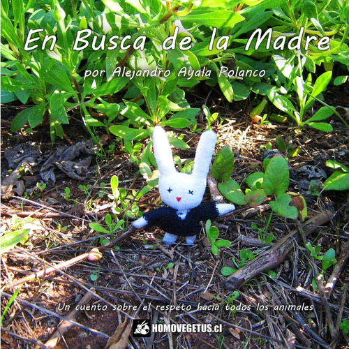 Libro: En Busca De La Madre (spanish Edition)