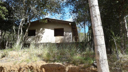 Imagem 8 de 24 de Casa Em Fase De Acabamento - Parque Florestal - Ca0892