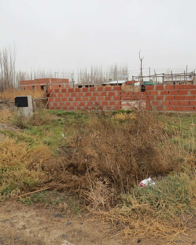 Imagen 2 de 9 de Re/max Vende Terreno En Cervantes