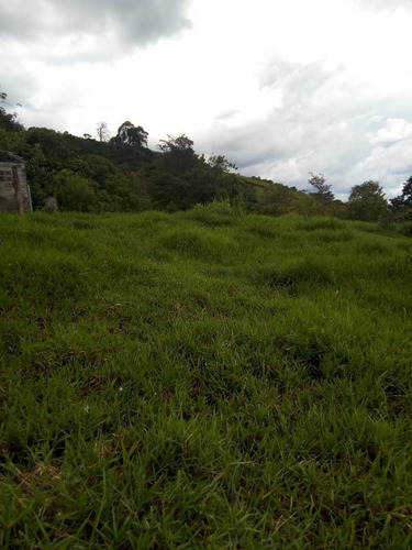 Imagen 4 de 7 de Finca De 35 Hectáreas En Poligono