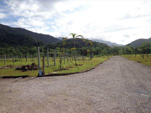 Imagem 9 de 29 de Terreno, Praia Da Lagoinha, Ubatuba - R$ 299 Mil, Cod: 76 - V76