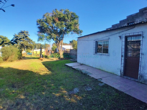 Imagen 12 de 14 de Colonia Del Sacramento - Casa A Refaccionar Con Muy Buen Terreno
