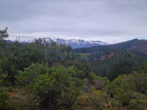 Tranquila Parcela 0,5ha Tranquilidad (92297)