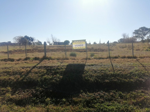 Imagen 4 de 12 de Chacra 1.5 Hectarea En Venta - 75 Metros De Frente A La Ruta 102 Km 38.500