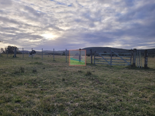 Imagen 19 de 26 de Campo De 34 Hás Con Casa Ruta 12 Pueblo Edén