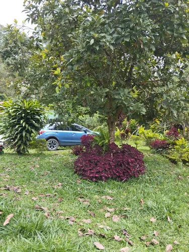 Casa Lote En Conjunto Campestre Ubicado A 6 Minutos D Pueblo
