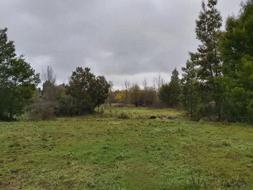 Terreno Agricola Industrial En Cabrero