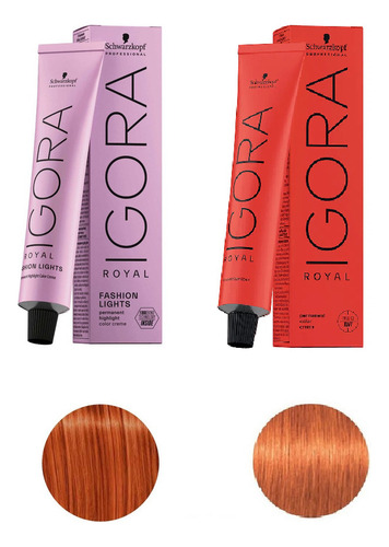 2 Tinturas Igora Royal Cobrizos Tonos L77 + 8.77 Combo Tono 8.77 + L77