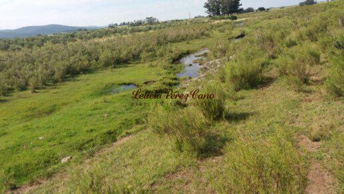 Venta  Chacra En El Límite De Maldonado Y Lavalleja.