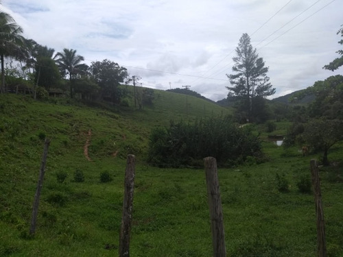 Imagem 25 de 30 de Fazenda - Fa00003 - 34856184