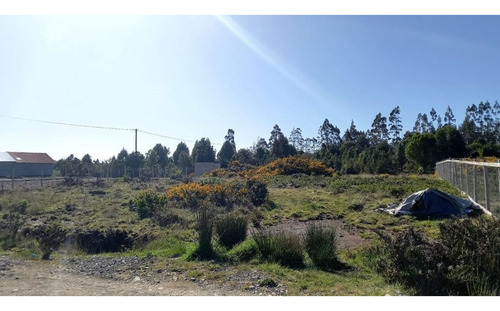 Alerce Parcela 5000 M2 Conlinda Con Estero Rio Negro