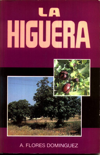 La Higuera - Flores