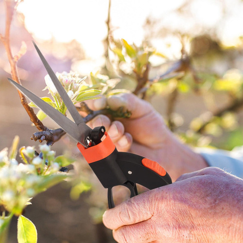 Tesouras De Poda Para Jardinagem Tesouras De Poda Para