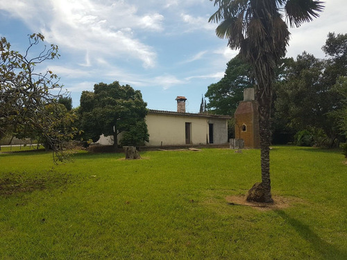 Imagen 2 de 14 de Chacra En Venta En Conchillas. 3 Has De Campo Y Arroyo.