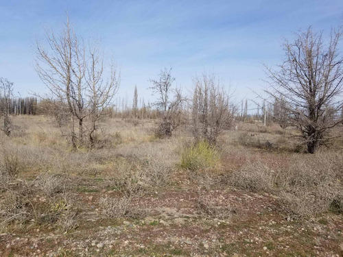Imagen 6 de 11 de Terreno En Venta Barrio Rincón Lindo Plottier, Nqn